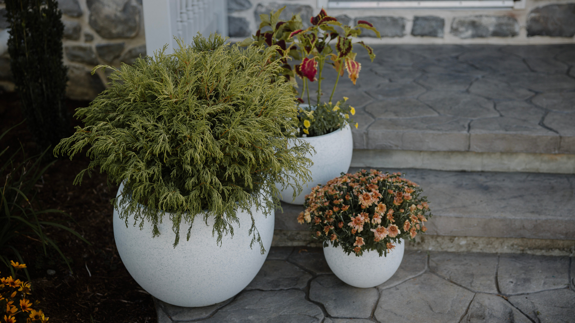 Get to Know Our Poly Planters