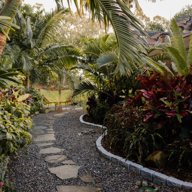 Landscape Design Inspiration for Tropical Spaces: Creating Curves