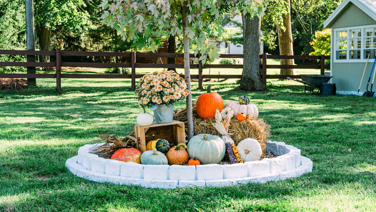 How To Create A Tree Ring With Landscape Edging