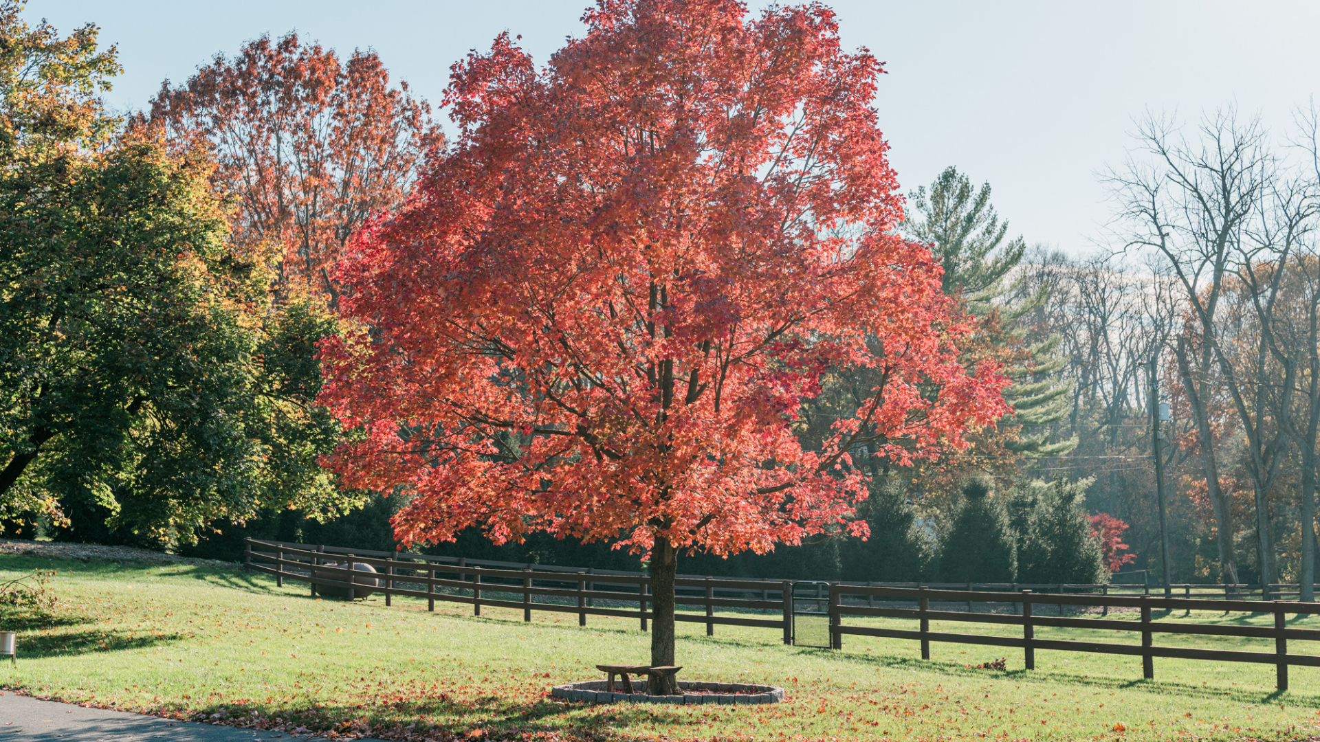 How to Prepare Your Landscape For Fall: A Fall Yard Guide
