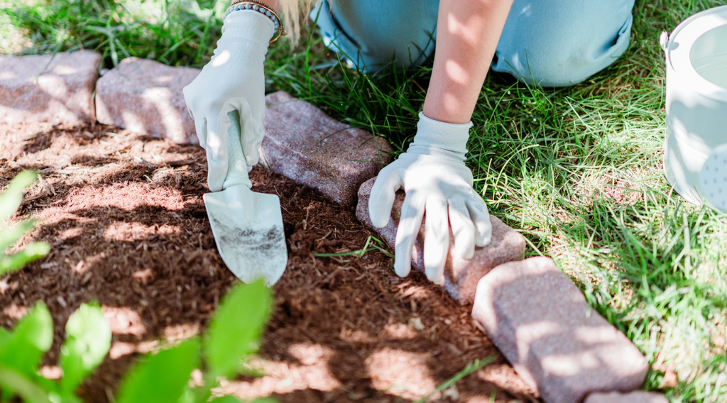 3 Ways To Transform Your Garden On A Budget