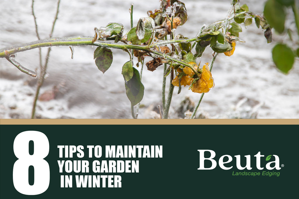 Surviving Winter: 8 Essential Tips for Maintaining Your Garden