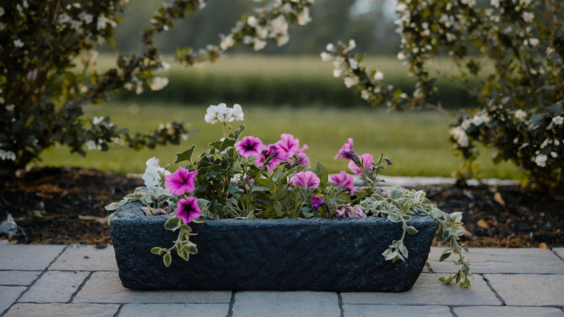 Small Charcoal Trough Planter