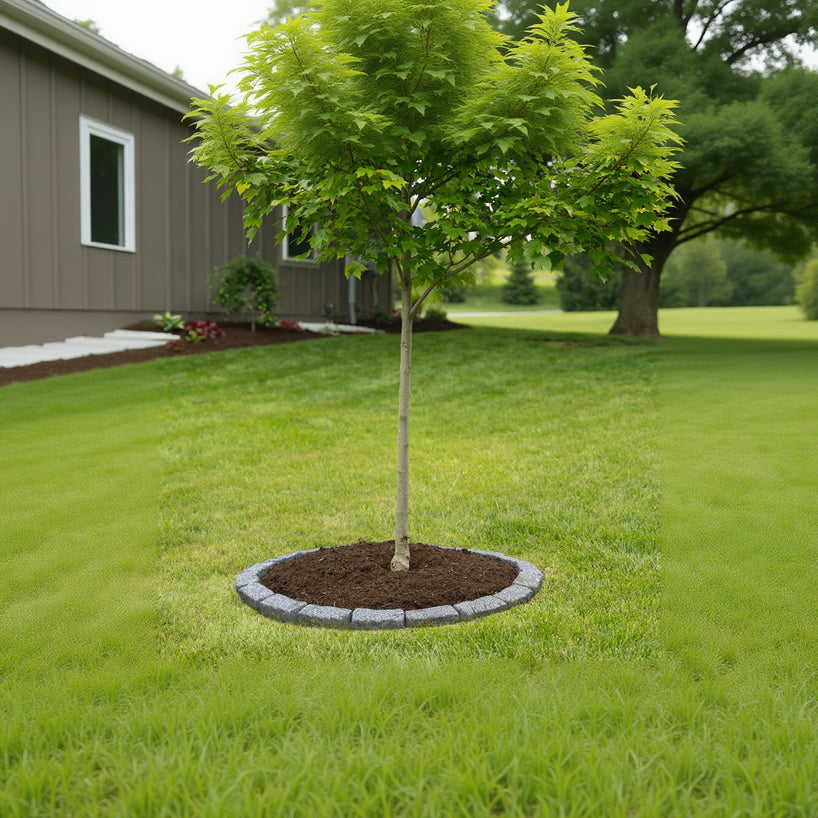 Belgen Block Tree Rings PolyRock™ Edging - Beuta