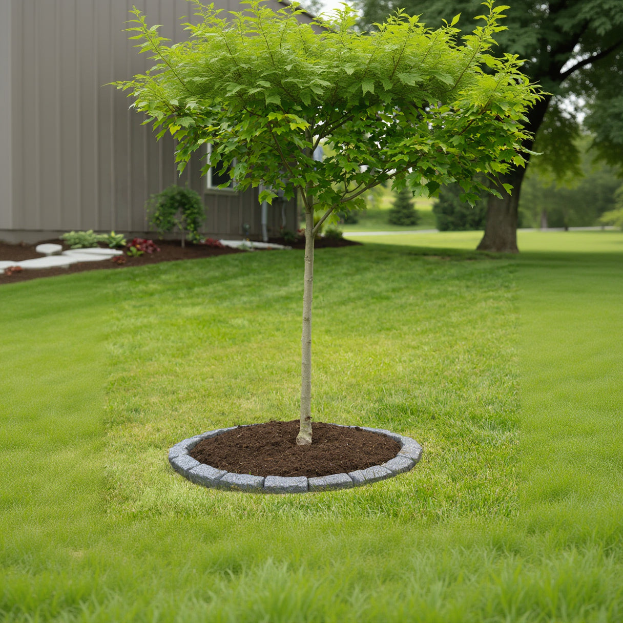 rubber tree rings landscaping 4 Ft Tree Ring Kit