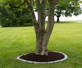 5 Ft Tree Ring Kit With Weed Guard and Staples