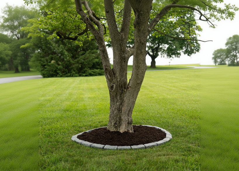 5 Ft Tree Ring Kit - Beuta