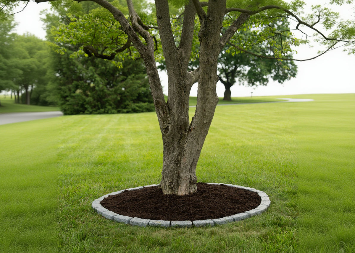 6 Ft Tree Ring Kit - Beuta