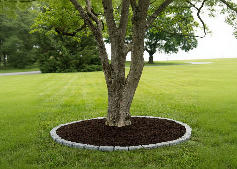 5 Ft Tree Ring Kit - Beuta