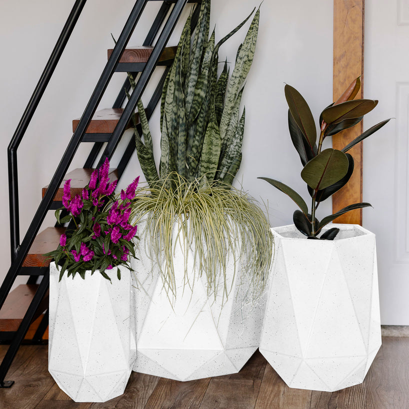 Poly Planter 3-Pack