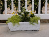 Small Limewash Trough Planter
